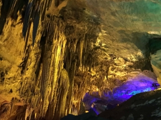 t_2018-07-01 10.12.25.jpg